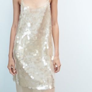 Stunning Cream/Nude Sequins & Tulle Dress | ZARA | LIMITED EDITION | LARGE